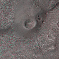 Cydonia