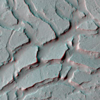 Lucus Planum