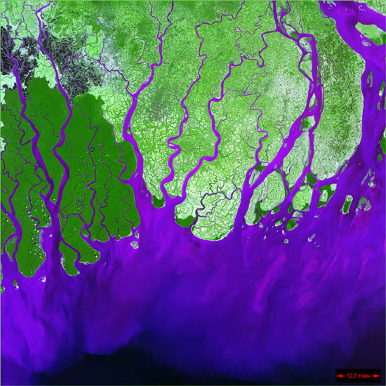 Ganges River Delta