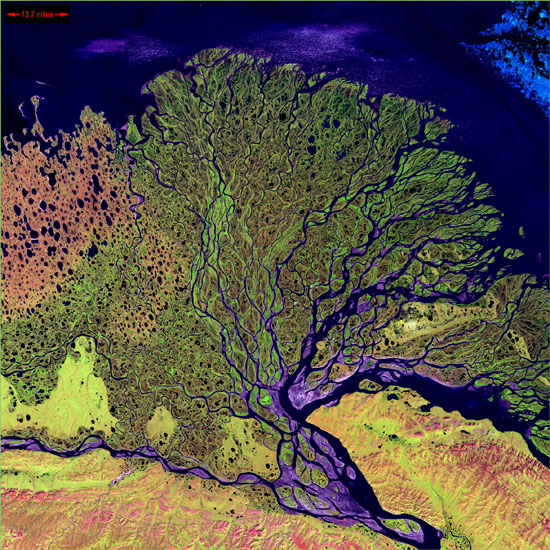 Lena Delta, Russie