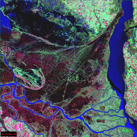 Parana River Delta