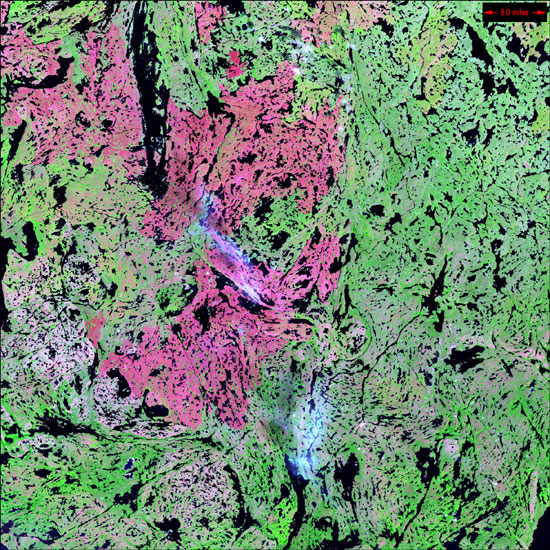 Yellowknife Wetlands
