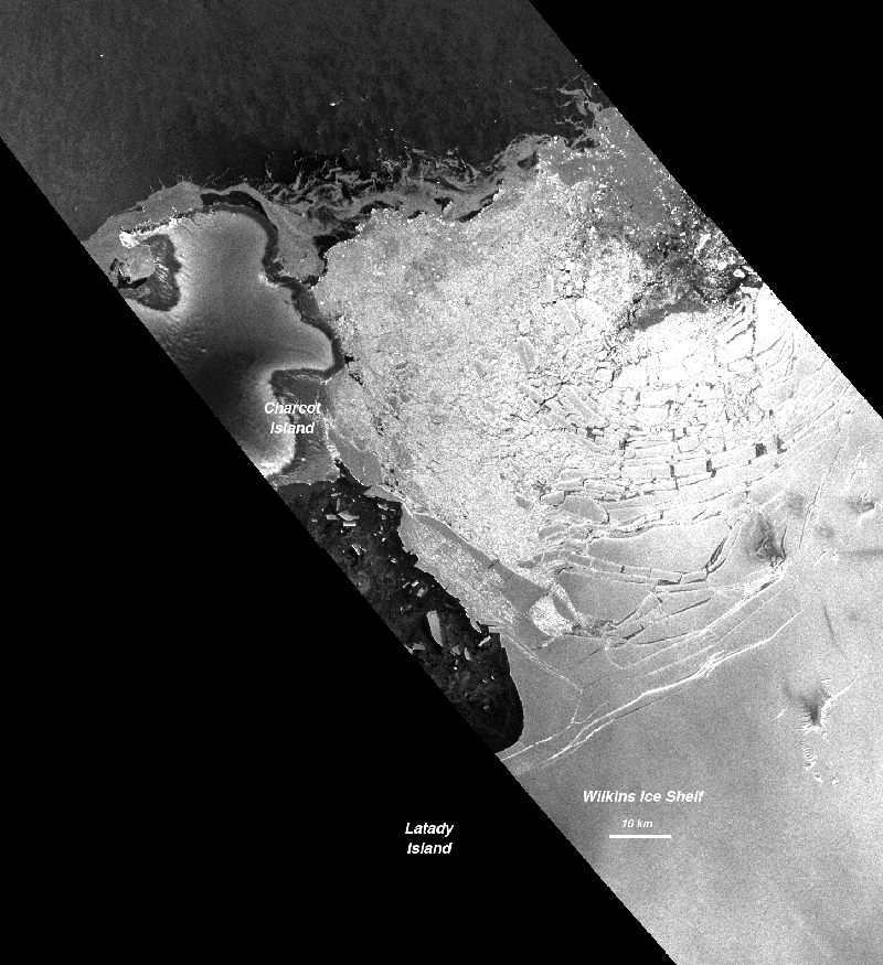 L'effondrement d'un pont de glace met la banquise de l'Arctique en péril 