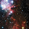 Gaz, poussières et formation stellaire dans IC 1805