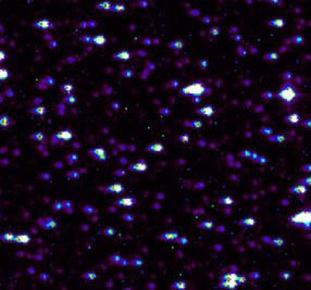 Une cinquantaine d'étoiles observée par CoRoT
