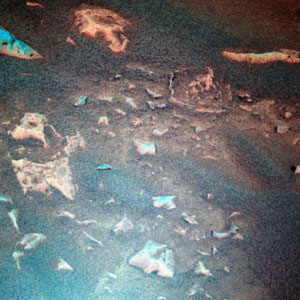 Aurait-on déjà découvert des stromatolites martiens ?