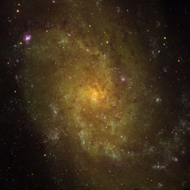 Spectaculaire image de la galaxie du Triangle (M33)