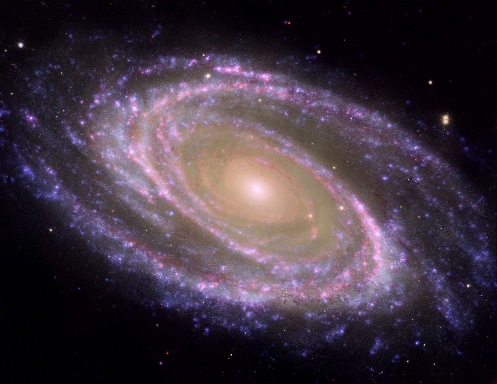 La galaxie M81 observ&eacute;e par Hubble, Spitzer et Galex