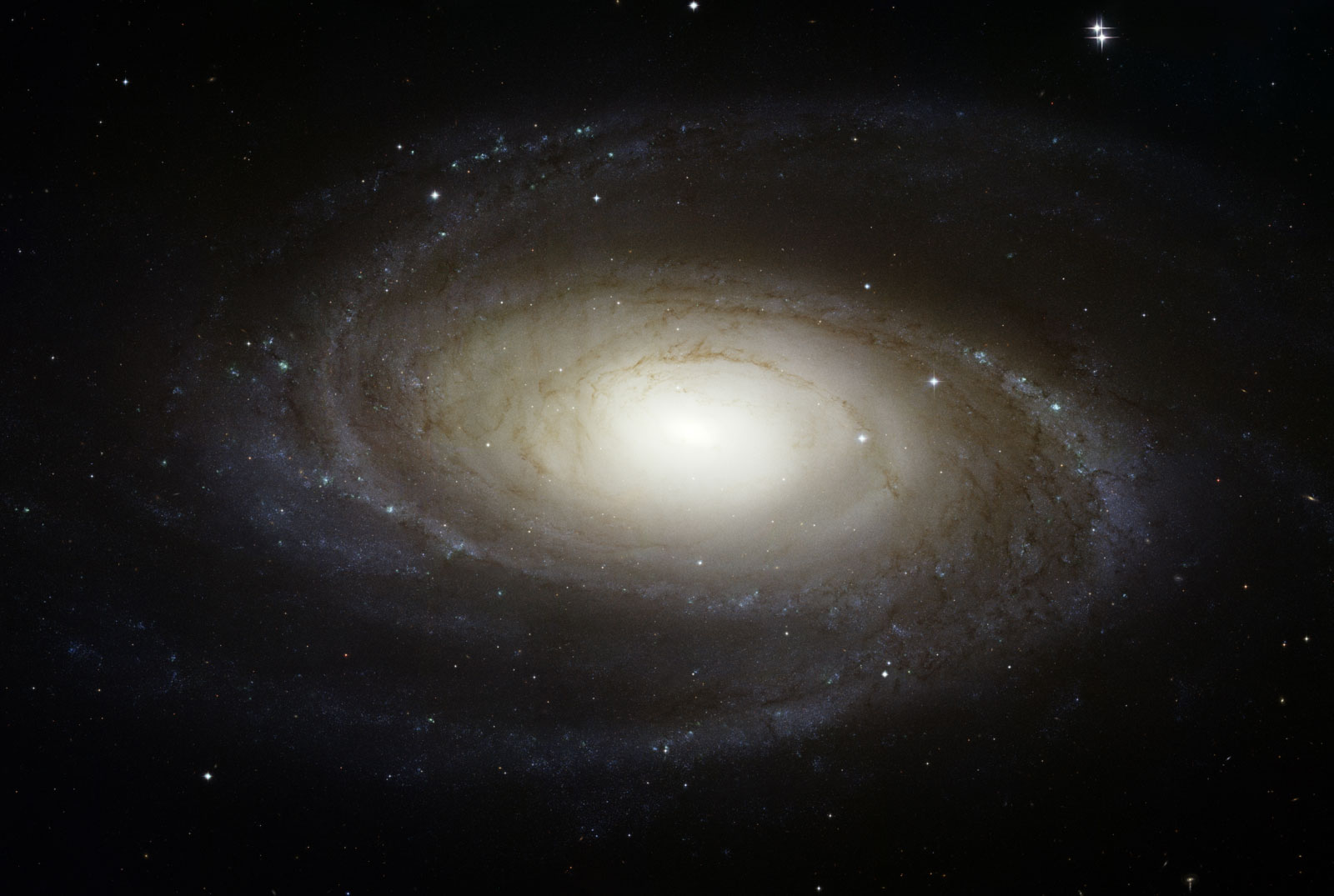 La galaxie M81 observée dans le détail par Hubble