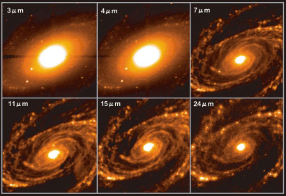La galaxie spirale M 81