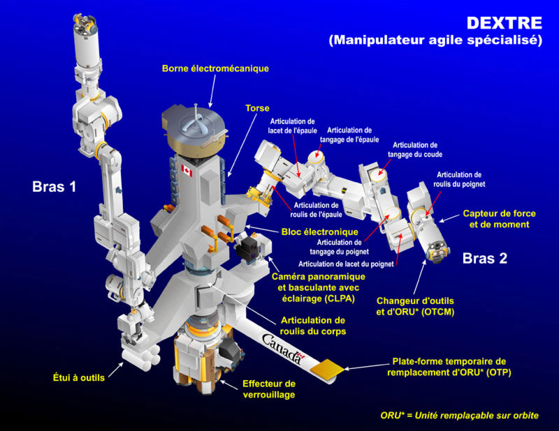 Dextre : le manipulateur agile spécialisé